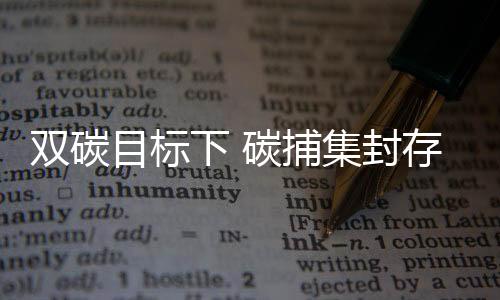 CCUS未来减排潜力很大