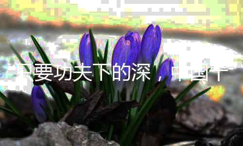 现在我们想促销就促销