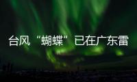 台风“蝴蝶”已在广东雷州市西部沿海再次登陆