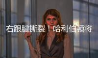 右跟腱撕裂�！哈利伯顿将缺席2025