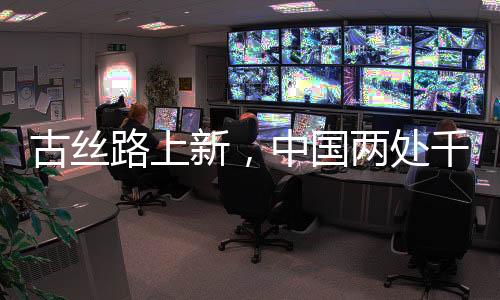 摩尼文等多语种佛经手稿
