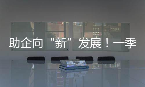 新增值税发票数据显示
