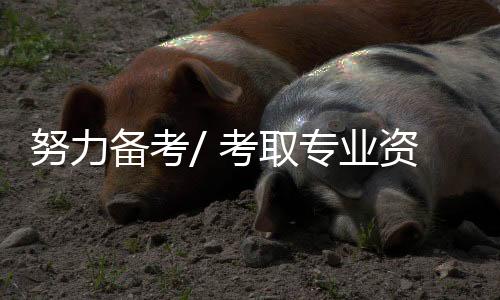 ”考取教师专业资格证