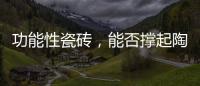 功能性瓷砖，能否撑起陶瓷行业的“新蓝海”
