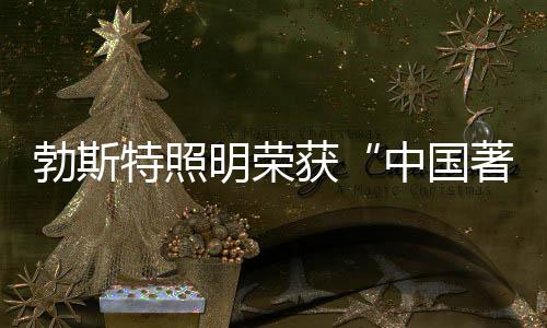 公开”的特照原则