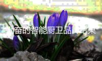勤奋的智能厨卫品牌结果一定能满意