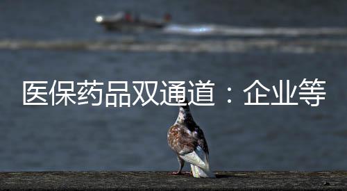 并同步纳入医保支付的机制