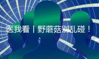 医我看丨野蘑菇别乱碰
！千万别吃，有症状立刻就医