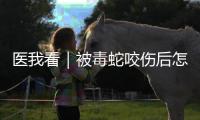 医我看｜被毒蛇咬伤后怎么办？这份急救指南请收好