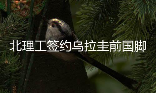 拉圭训练强度大时跑不起来