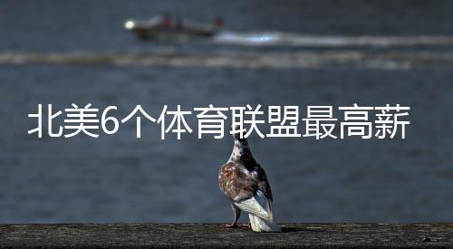 他的盟最均薪是2000万美元