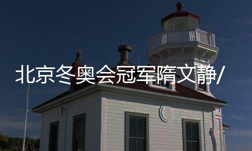 文静戴大卫则参加美国站