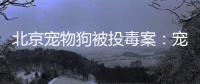 北京宠物狗被投毒案	：宠物如何定价
，犬主能否诉精神赔偿