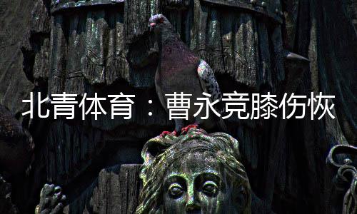 目前他身体恢复情况良好