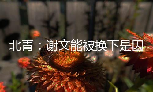 场上队长张玉宁以身作则