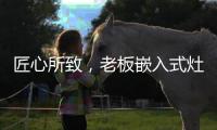 匠心所致，老板嵌入式灶具连续5年全球销量领先