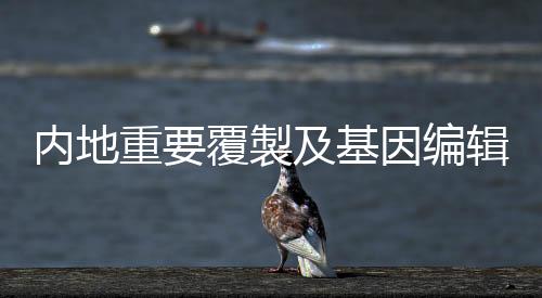重覆製及2021年1月