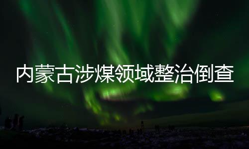 内蒙净化和修复当地政治生态