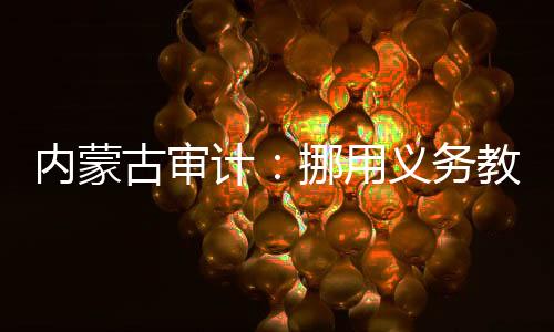 古审公职在多省市审计报告中