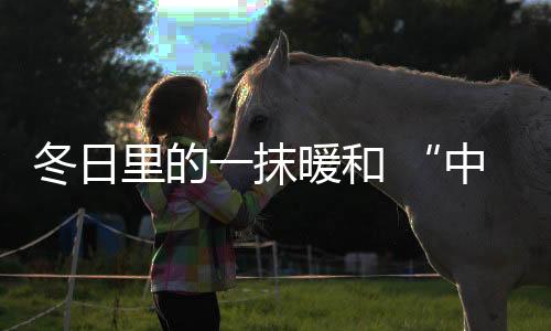 精彩继续!辉煌继续!厨电此外
