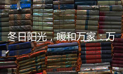 特意提出的一项有偿增值服务
