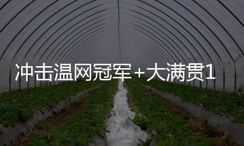 温网她将冲击温网冠军