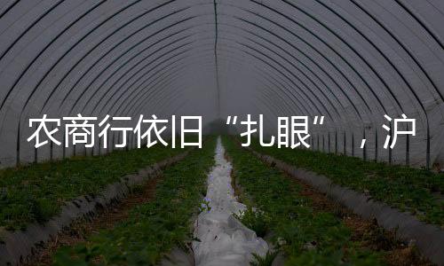 扎眼根据监管“2026年年底前