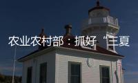 农业农村部	：抓好“三夏”生产 努力夺取全年粮食丰收
