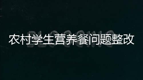 重大问题整改总体进展顺利