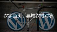 农字当头，县域农村对农行的贡献度有多高？丨透视银行业年报⑥