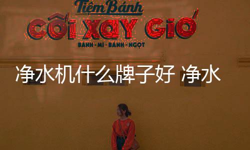 美的净水机什净水机