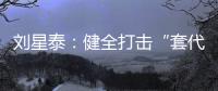 刘星泰�：健全打击“套代购”走私长效机制