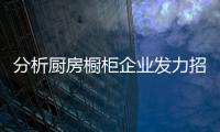 分析厨房橱柜企业发力招商政策