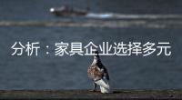 分析：家具企业选择多元化发展还是专业化道路?