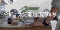 分析：太阳能路灯品牌怎样把握高端市场?
