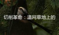 切削革命
：温网草地上的隐秘武器
