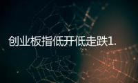 创业板指低开低走跌1.36%，油气股逆势大涨