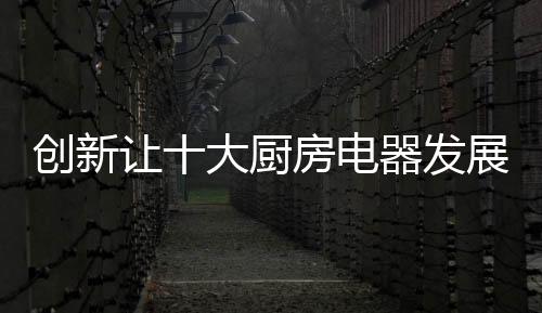 电器找出适合自己的发展办法