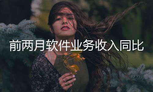 前两云计算、月软前两月