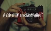 前途光明and道路曲折 灯饰照明品牌走专业路线