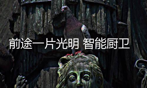在需求多元化的卫品情况下
