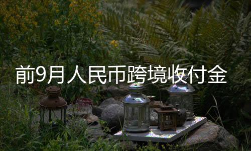 币跨人民币国际化稳中有进