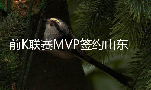 联赛加盟山东鲁能队