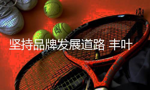 300家网络媒体平台增添到500家