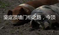 坚定顶墙门柜之路，今顶2021年核心代理商年中线上交流会圆满结束