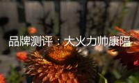 品牌测评	
：大火力帅康隔烟灶品牌