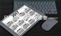 品质与美学的双重奏——向氏鑫源轻奢办公家具探秘