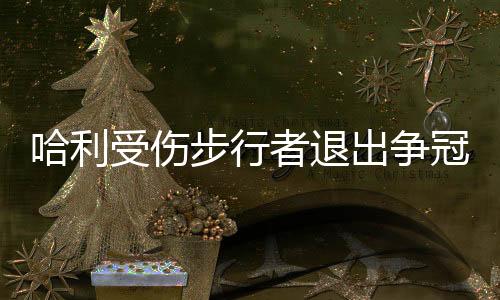 尼克从小奥尼尔到格兰杰