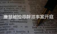 唐慧被控寻衅滋事案开庭：当地曾成立77人专案组