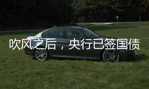从央行的借入意图来看